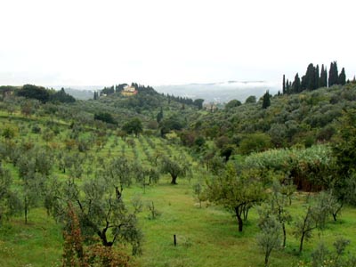 Tuscany