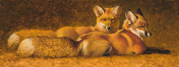 Foxy Companions