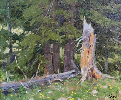 Forest Detail