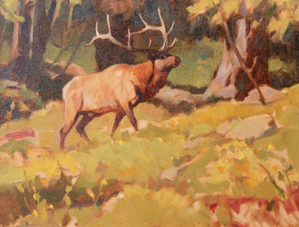 Sunlit Elk