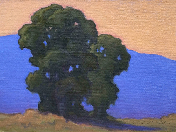 The Stories We Could Tell