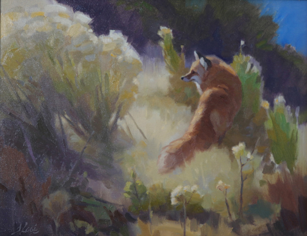 Rabbitbrush Search (fox)