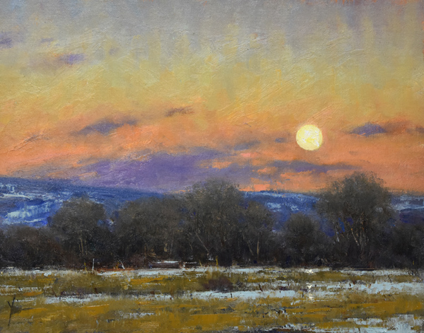 A Late November Visitor