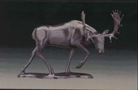 Meadow Marauder II - Moose II