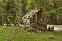 Mad Creek Cabin
