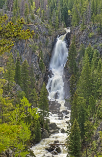 Fish Creek Falls Overlook
