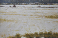 Gray Winter Fields
