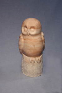 Pink Snowy Owl on Post