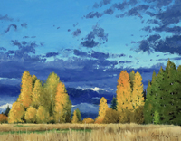 Early Morning Miracle