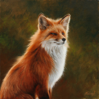Red Fox (sitting)