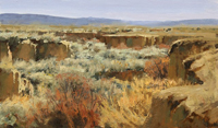 Winter Desert
